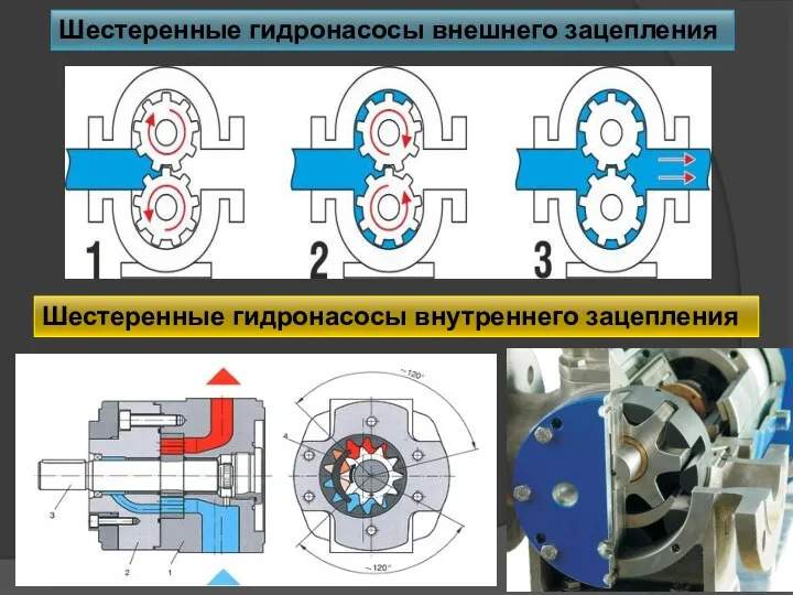 Шестеренные гидронасосы внешнего зацепления Шестеренные гидронасосы внутреннего зацепления
