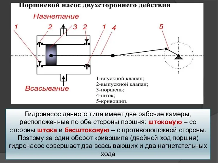 Гидронасос данного типа имеет две рабочие камеры, расположенные по обе стороны