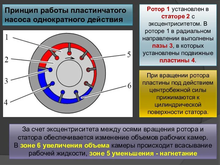 Принцип работы пластинчатого насоса однократного действия Ротор 1 установлен в статоре