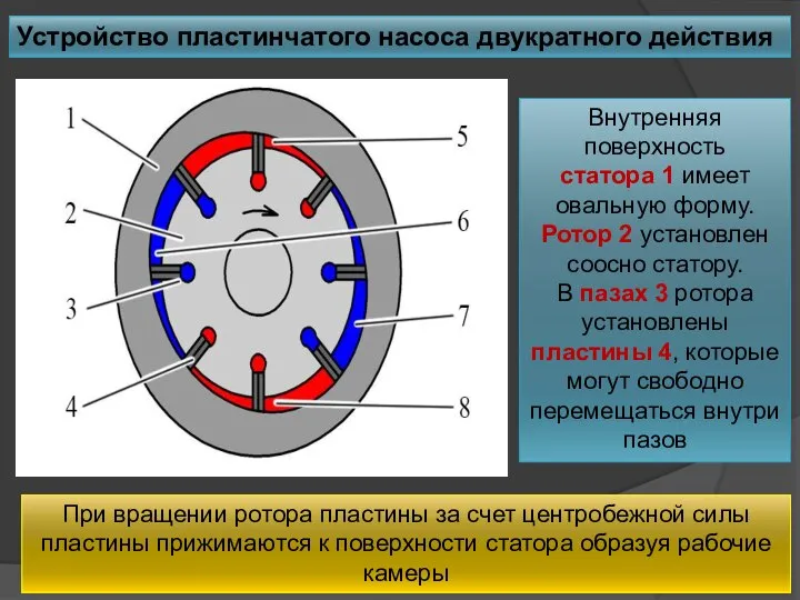 Устройство пластинчатого насоса двукратного действия Внутренняя поверхность статора 1 имеет овальную