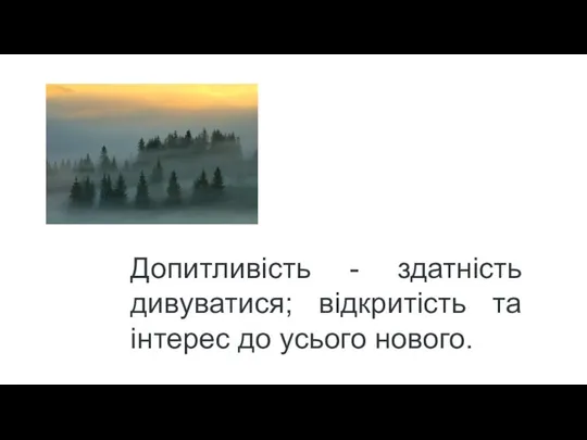 Допитливість - здатність дивуватися; відкритість та інтерес до усього нового.