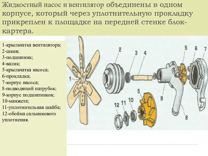 Жидкостный насос и вентилятор объединены в одном корпусе, который через уплотнительную