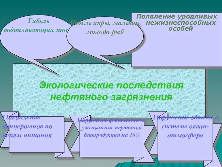 Экологические последствия нефтяного загрязнения Появление уродливых нежизнеспособных особей Гибель водоплавающих птиц