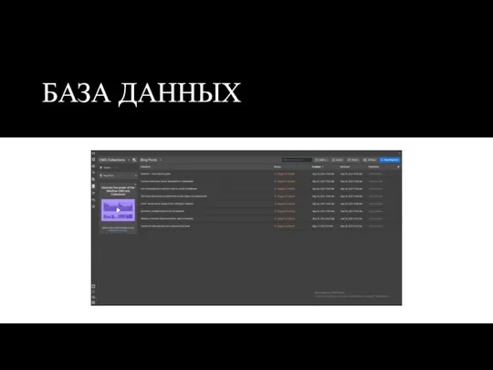 БАЗА ДАННЫХ