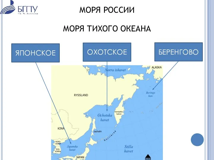 МОРЯ РОССИИ МОРЯ ТИХОГО ОКЕАНА ЯПОНСКОЕ БЕРЕНГОВО ОХОТСКОЕ