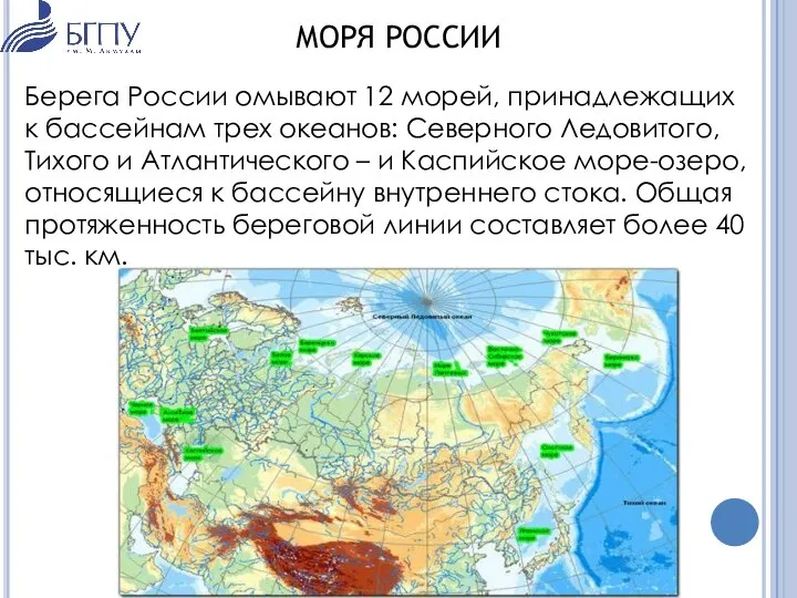 МОРЯ РОССИИ Берега России омывают 12 морей, принадлежащих к бассейнам трех