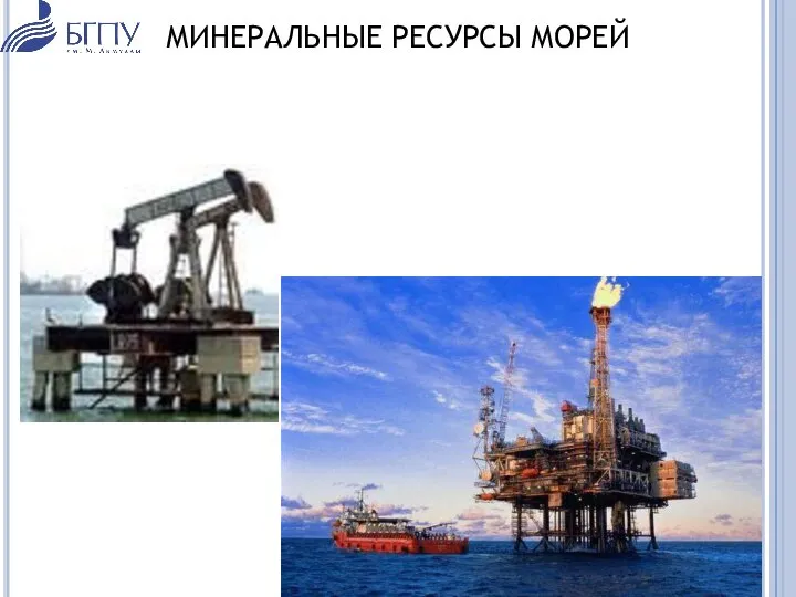 МИНЕРАЛЬНЫЕ РЕСУРСЫ МОРЕЙ