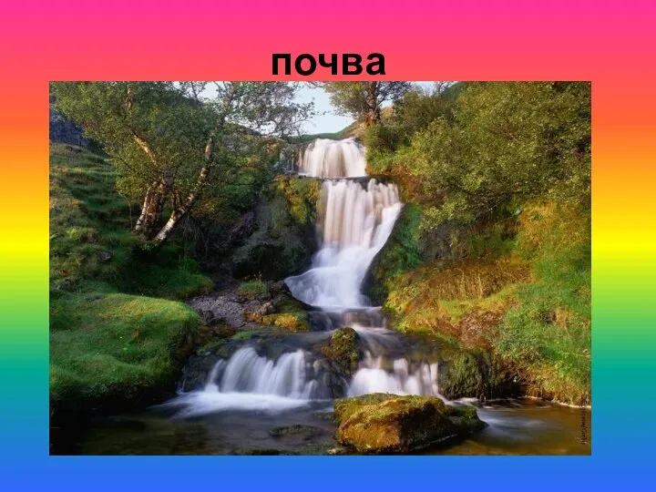 почва