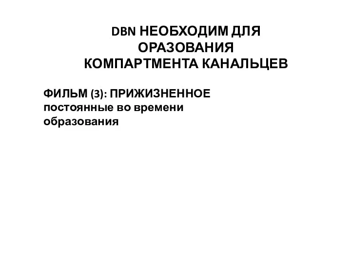 ФИЛЬМ (3): ПРИЖИЗНЕННОЕ постоянные во времени образования DBN НЕОБХОДИМ ДЛЯ ОРАЗОВАНИЯ КОМПАРТМЕНТА КАНАЛЬЦЕВ