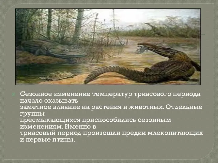 Сезонное изменение температур триасового периода начало оказывать заметное влияние на растения