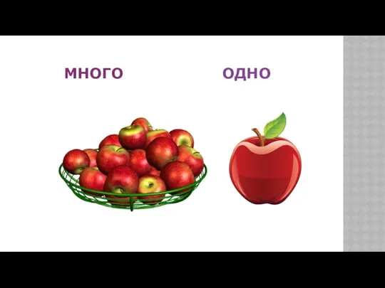 МНОГО ОДНО