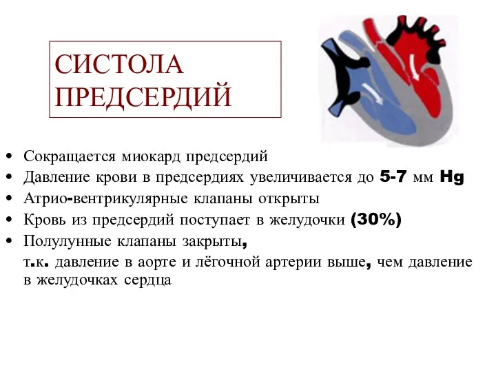 СИСТОЛА ПРЕДСЕРДИЙ Сокращается миокард предсердий Давление крови в предсердиях увеличивается до