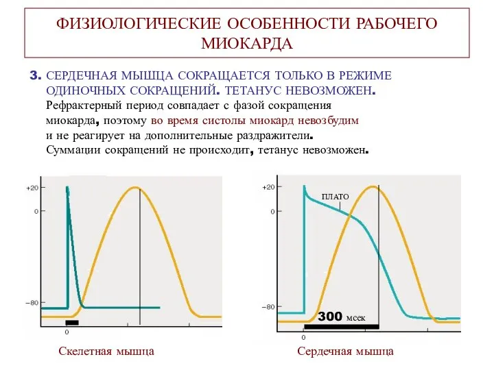 ФИЗИОЛОГИЧЕСКИЕ ОСОБЕННОСТИ РАБОЧЕГО МИОКАРДА 3. СЕРДЕЧНАЯ МЫШЦА СОКРАЩАЕТСЯ ТОЛЬКО В РЕЖИМЕ