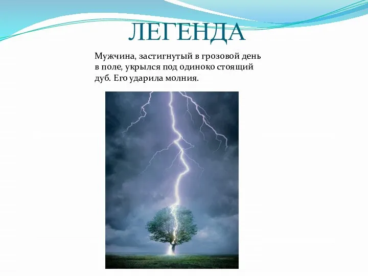 ЛЕГЕНДА Мужчина, застигнутый в грозовой день в поле, укрылся под одиноко стоящий дуб. Его ударила молния.