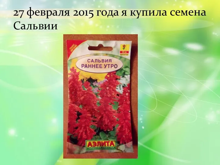 27 февраля 2015 года я купила семена Сальвии