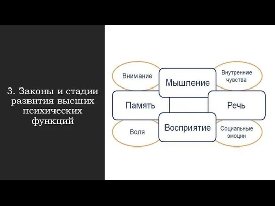 3. Законы и стадии развития высших психических функций