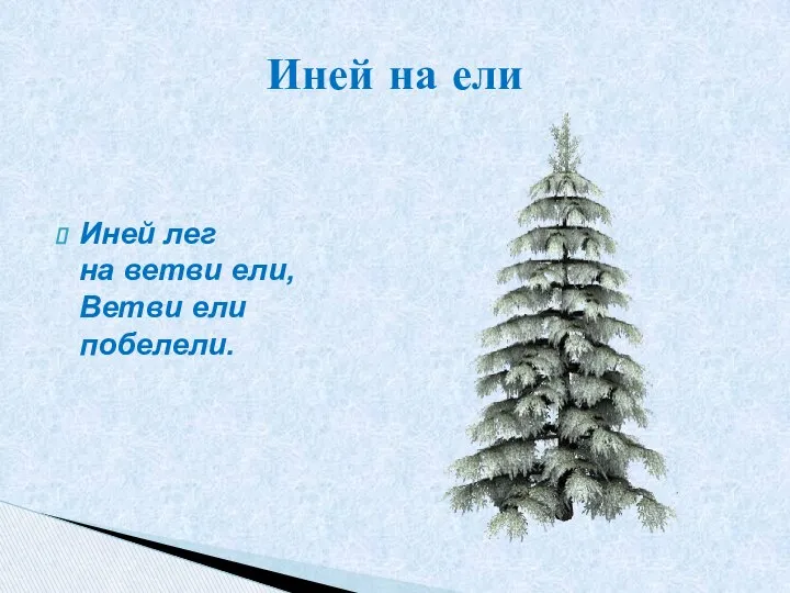 Иней лег на ветви ели, Ветви ели побелели. Иней на ели