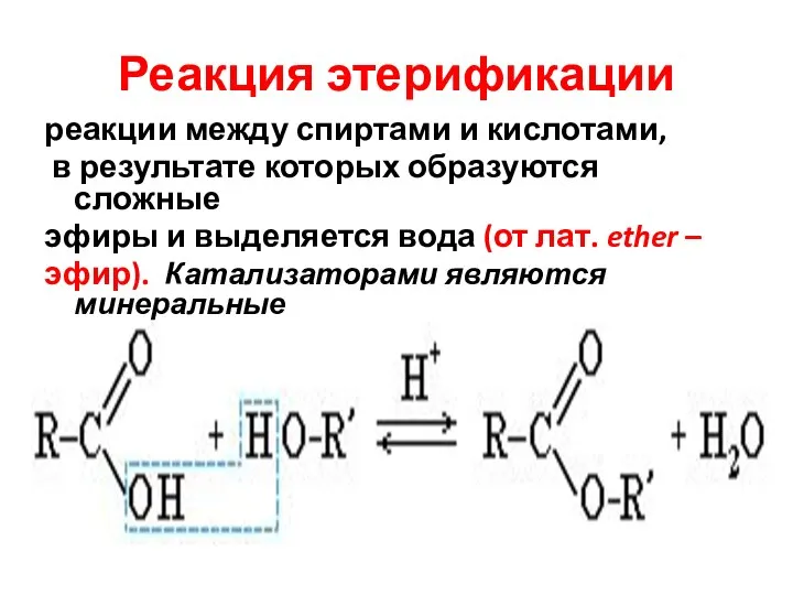 Реакция этерификации реакции между спиртами и кислотами, в результате которых образуются
