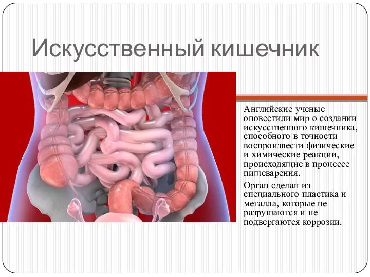 Искусственный кишечник Английские ученые оповестили мир о создании искусственного кишечника, способного