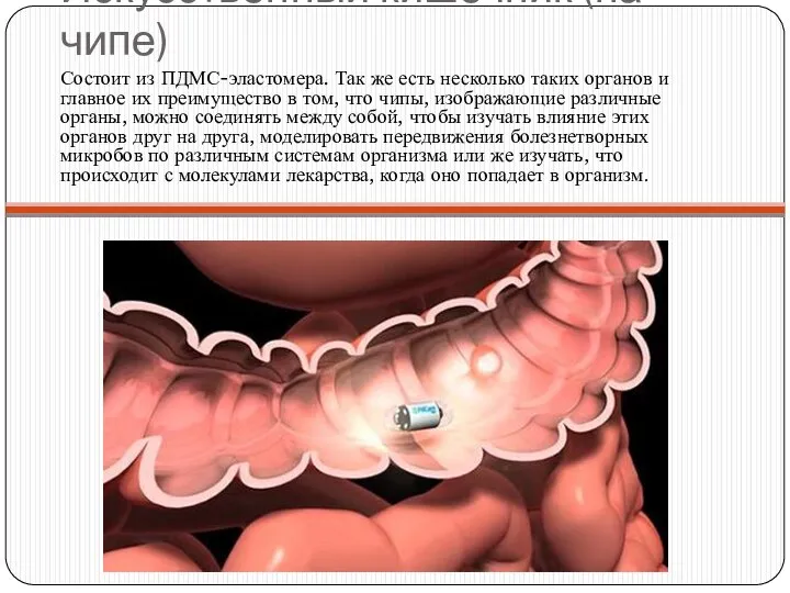 Искусственный кишечник (на чипе) Состоит из ПДМС-эластомера. Так же есть несколько
