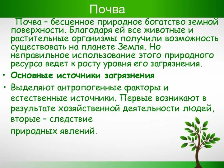 Почва Почва – бесценное природное богатство земной поверхности. Благодаря ей все