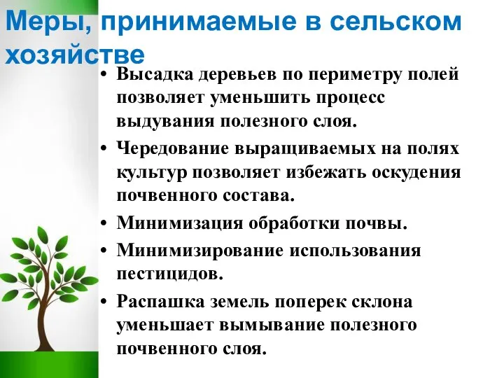 Меры, принимаемые в сельском хозяйстве Высадка деревьев по периметру полей позволяет