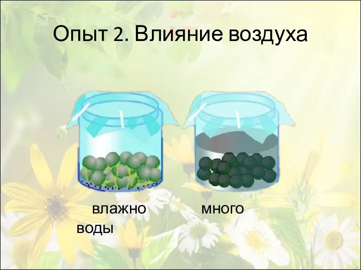 Опыт 2. Влияние воздуха влажно много воды