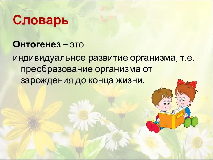 Словарь Онтогенез – это индивидуальное развитие организма, т.е. преобразование организма от зарождения до конца жизни.