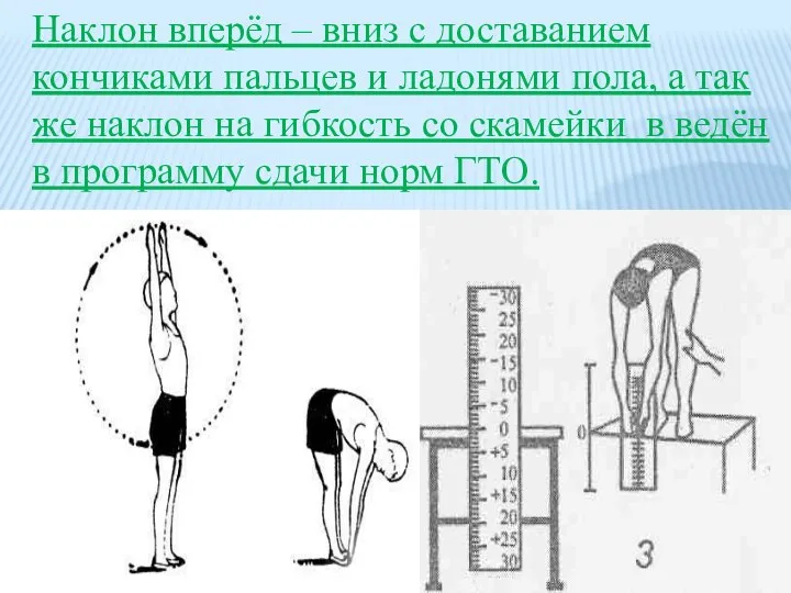 Наклон вперёд – вниз с доставанием кончиками пальцев и ладонями пола,