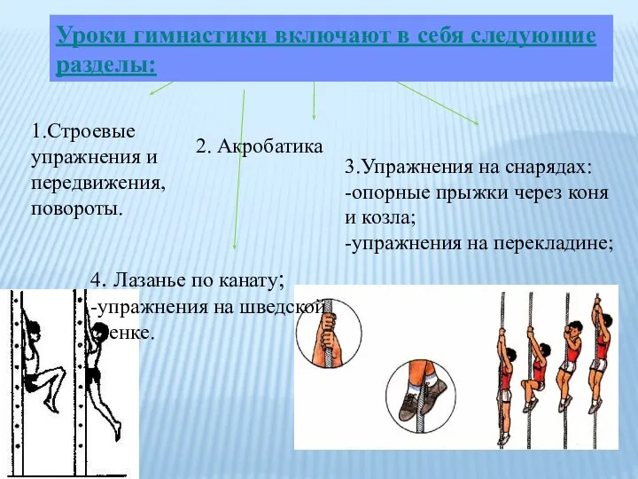 1.Строевые упражнения и передвижения, повороты. 2. Акробатика 3.Упражнения на снарядах: -опорные