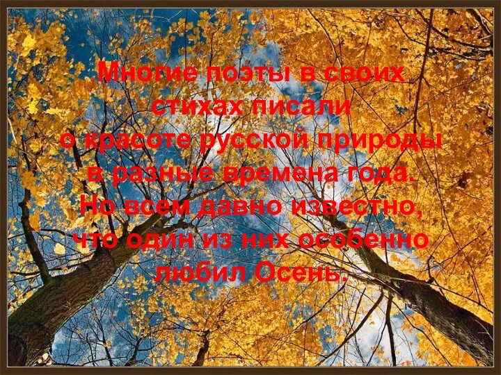 Многие поэты в своих стихах писали о красоте русской природы в