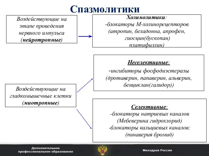 Спазмолитики Воздействующие на этапе проведения нервного импульса (нейротропные) Холинолитики: -блокаторы М-холинорецепторов