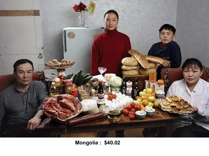 Mongolia : $40.02