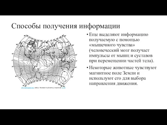 Еще выделяют информацию получаемую с помощью «мышечного чувства» (человеческий мозг получает