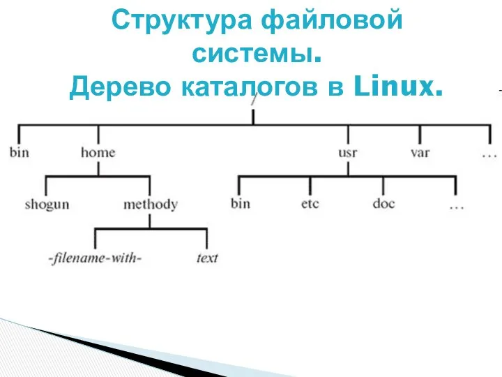 Структура файловой системы. Дерево каталогов в Linux.