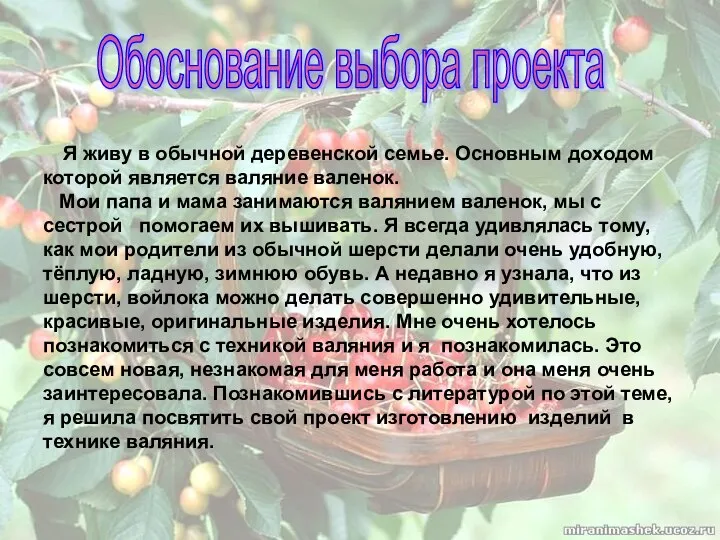 Обоснование выбора проекта Я живу в обычной деревенской семье. Основным доходом