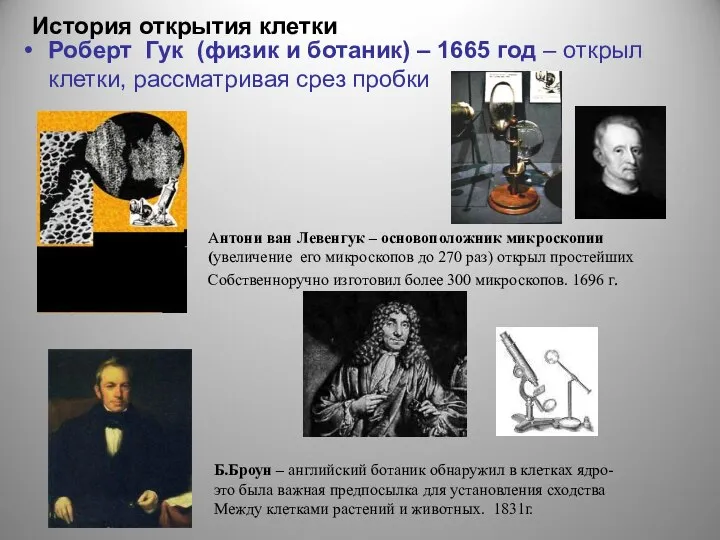 История открытия клетки Роберт Гук (физик и ботаник) – 1665 год