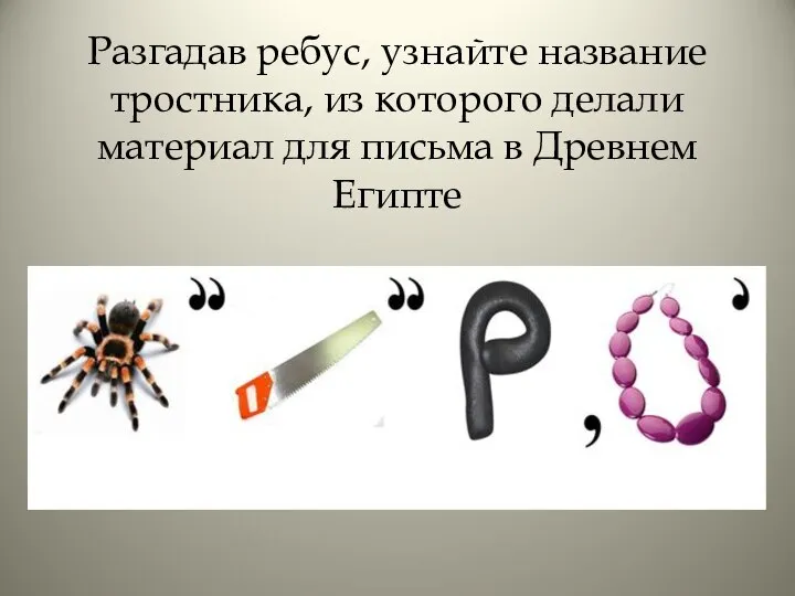 Разгадав ребус, узнайте название тростника, из которого делали материал для письма в Древнем Египте