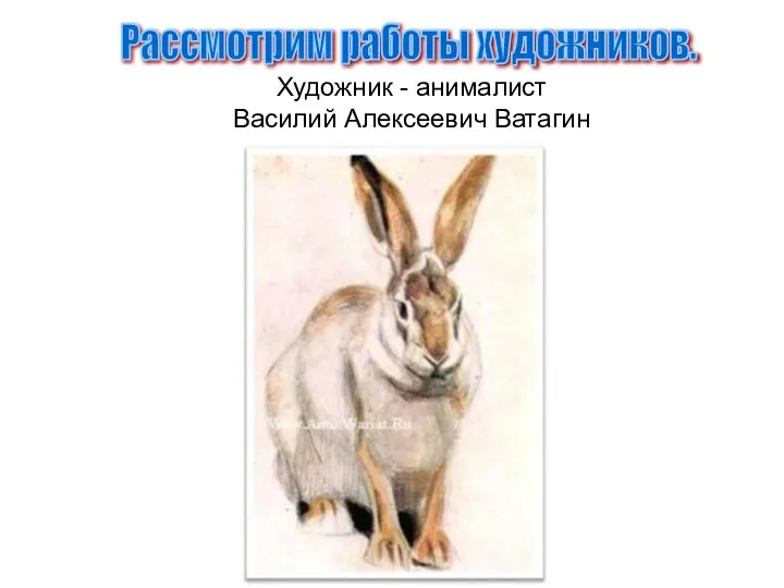 Художник - анималист Василий Алексеевич Ватагин Рассмотрим работы художников.