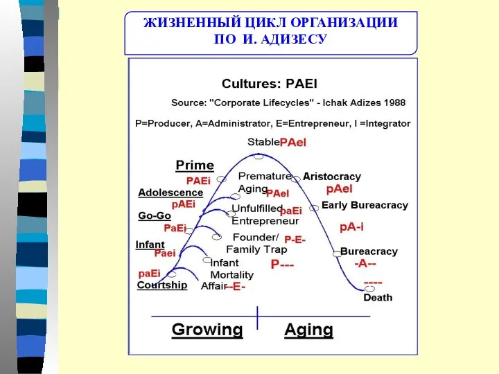 ЖИЗНЕННЫЙ ЦИКЛ ОРГАНИЗАЦИИ ПО И. АДИЗЕСУ