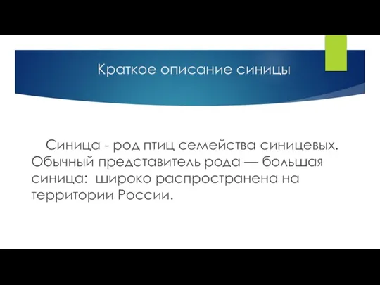 Краткое описание синицы Синица - род птиц семейства синицевых. Обычный представитель