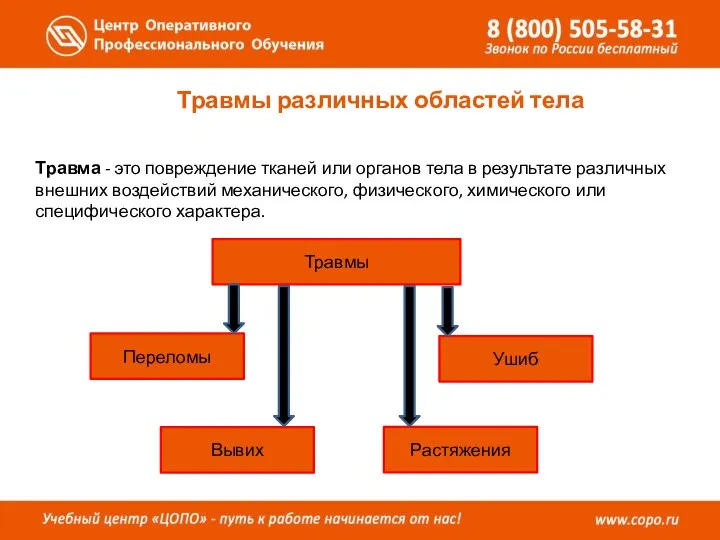 Травмы различных областей тела Травма - это повреждение тканей или органов