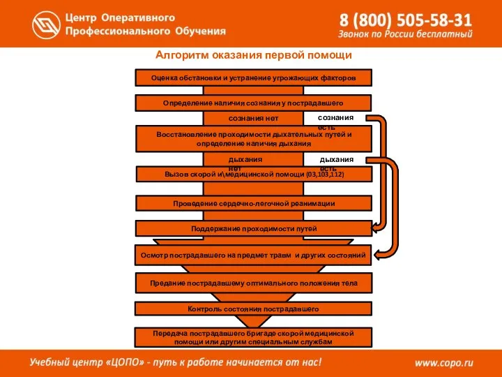 Алгоритм оказания первой помощи Определение наличия сознания у пострадавшего Вызов скорой