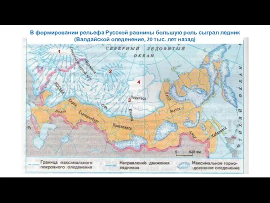 В формировании рельефа Русской равнины большую роль сыграл ледник (Валдайской оледенение, 20 тыс. лет назад)