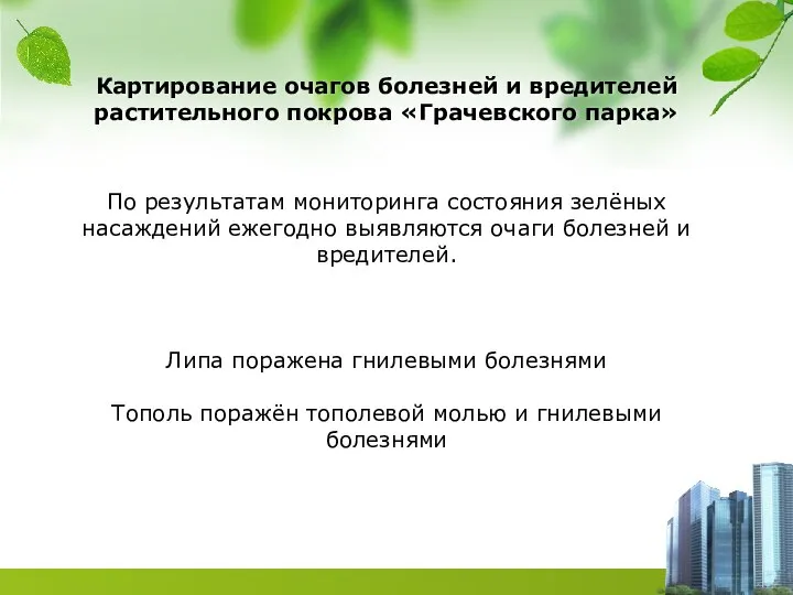 Картирование очагов болезней и вредителей растительного покрова «Грачевского парка» По результатам