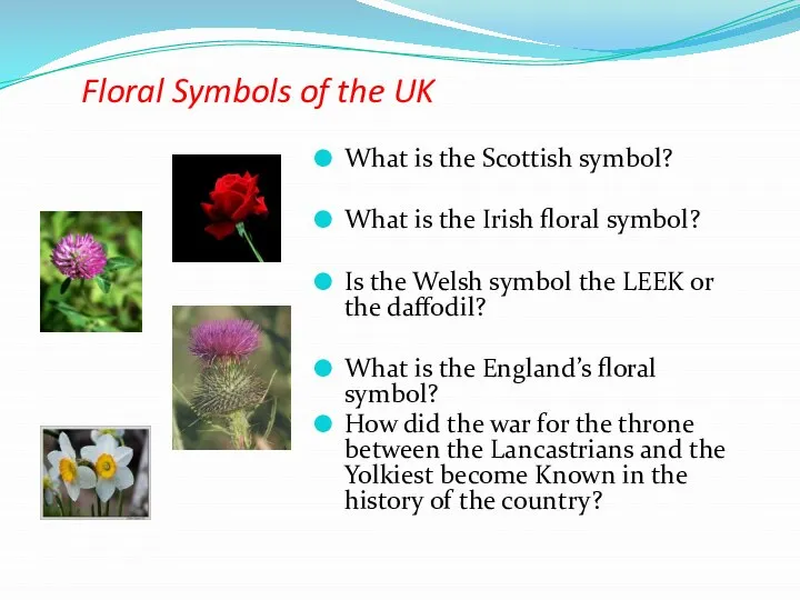 Floral Symbols of the UK What is the Scottish symbol? What