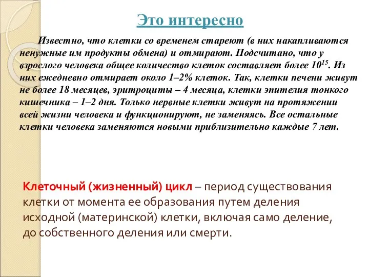 Клеточный (жизненный) цикл – период существования клетки от момента ее образования