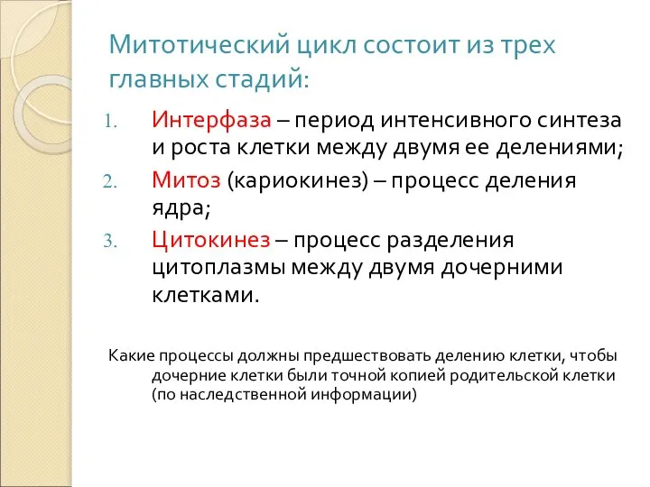 Митотический цикл состоит из трех главных стадий: Интерфаза – период интенсивного