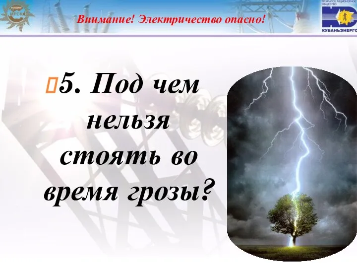 Внимание! Электричество опасно! 5. Под чем нельзя стоять во время грозы?