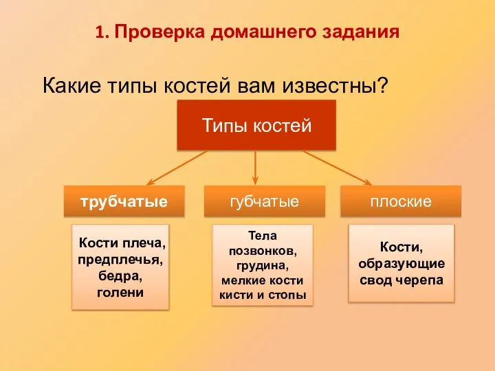 Какие типы костей вам известны? Типы костей трубчатые губчатые плоские Кости